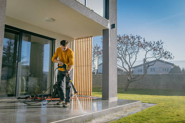 Best Graffiti Removal  in Adelanto, CA